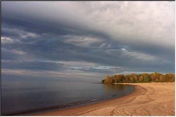 Courtesy of www.quietlywild.com