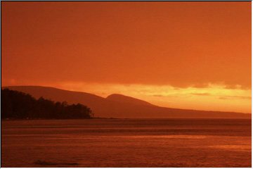 Photo by Dan Urbanski