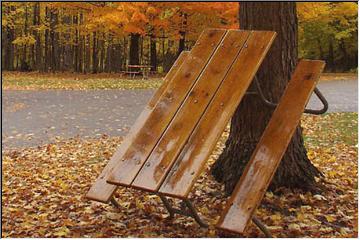 Tree-climbing park furniture
