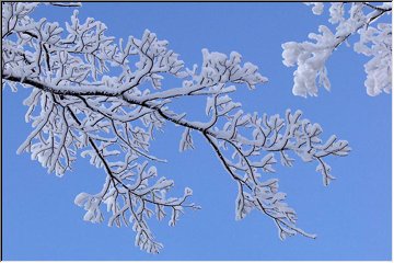 Look!...Up in the sky...