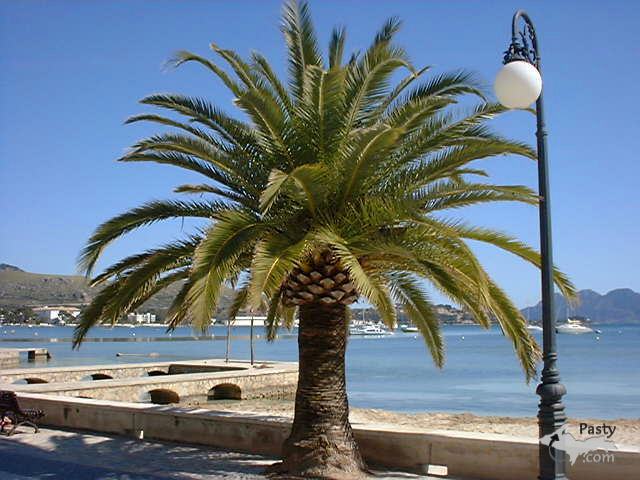 Photo by Ivor & Rosemary Dugdale-Jenkins