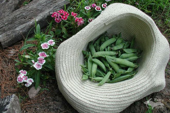 Photo by Peggy Riemer