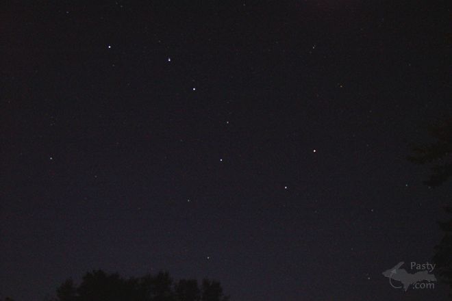 Photo by Donn de Yampert