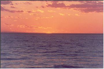 Photo by Peter Chiomenti