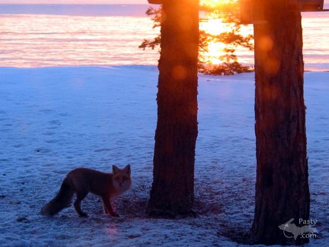 Photos by Bill Haller