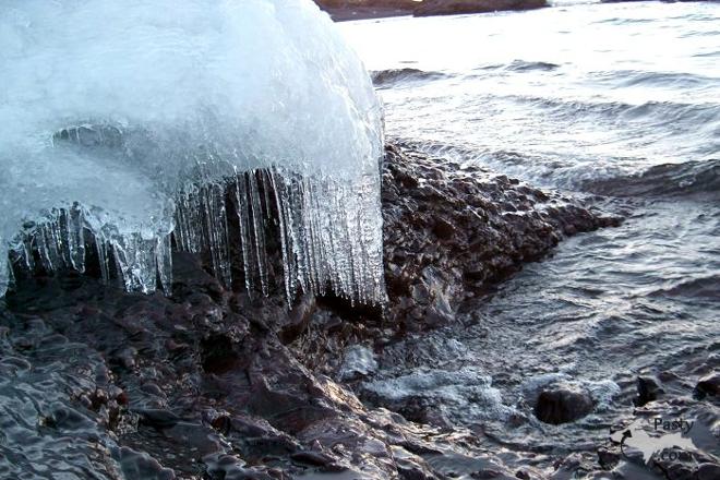 Photo by Peter Djiovanis