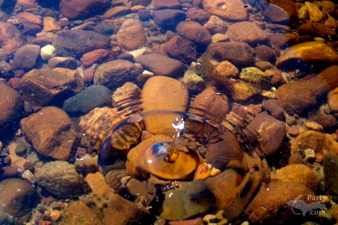 Photos by Ashley Byykkonen