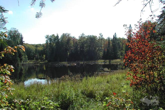 Photo by Tracey Barrett