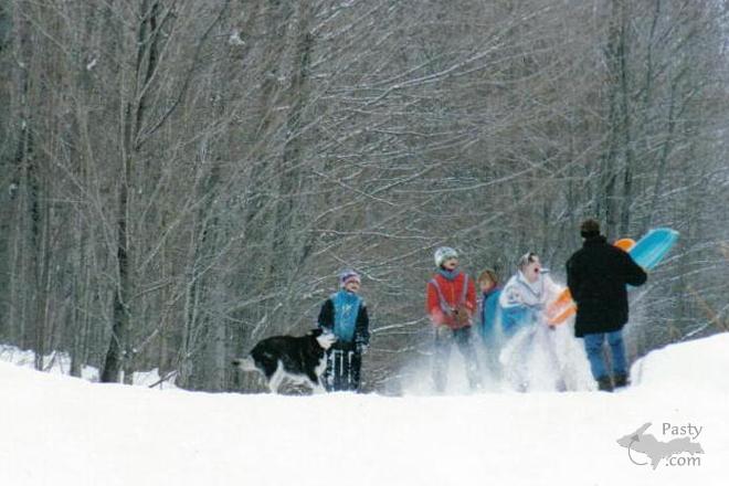 Photo by Joyce Tormala