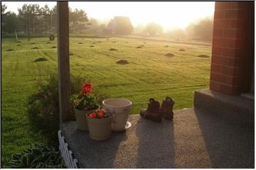 Early rising&hellip;