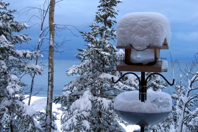 Photo by Greta Jones