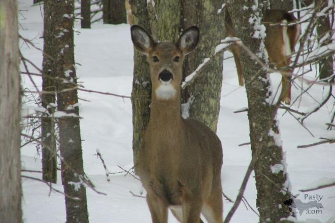 Photo by Greta Jones