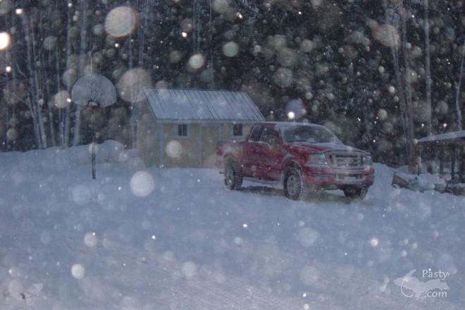 Photos by Chris Penegor