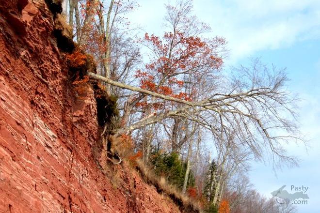 Photos by Grant Soehnel