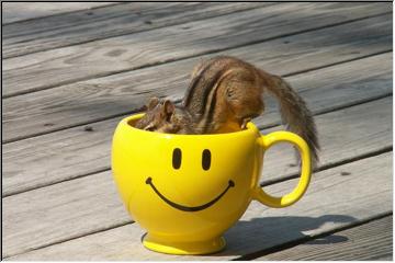 Smile, you're on Pasty Cam