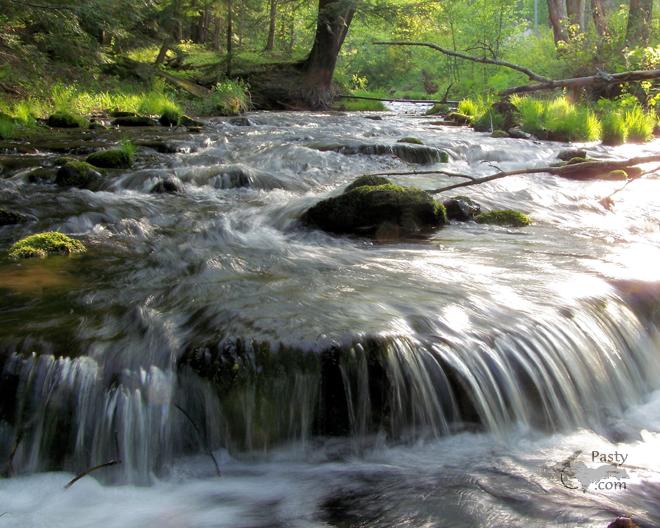 Photos by Grant Soehnel