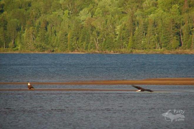 Photos by Stanley Spruce