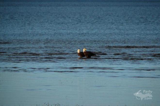 Photos by Stanley Spruce