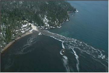 Buzzing the river's mouth