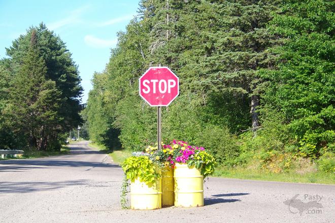 Photos by Marsha Galbraith