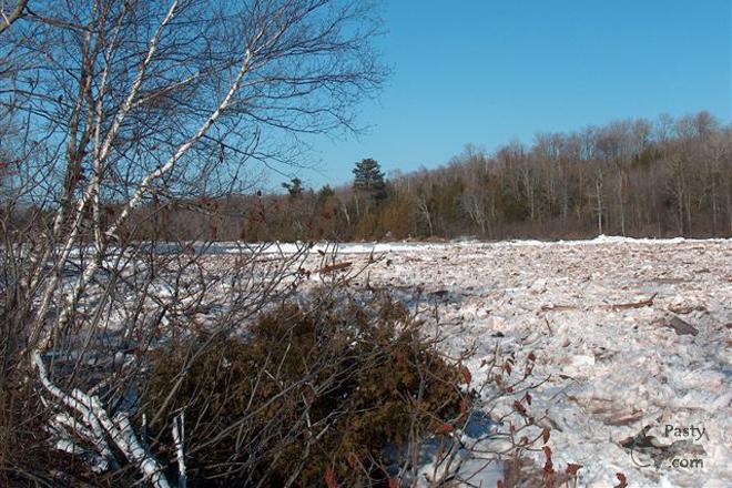 Photos by Roberta Chabot