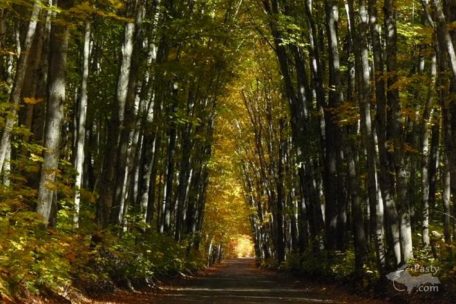 Photos by Joyce Tormala