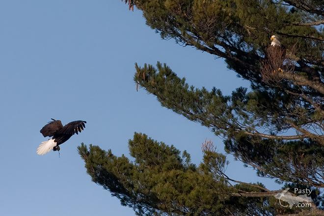 Photos by Frederic W. Koski