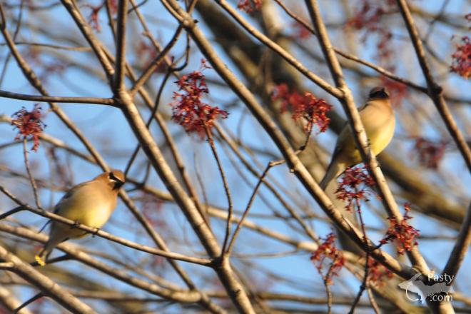 Photos by Bob Gilreath