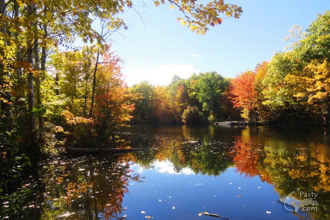 Photos by Lindsay White