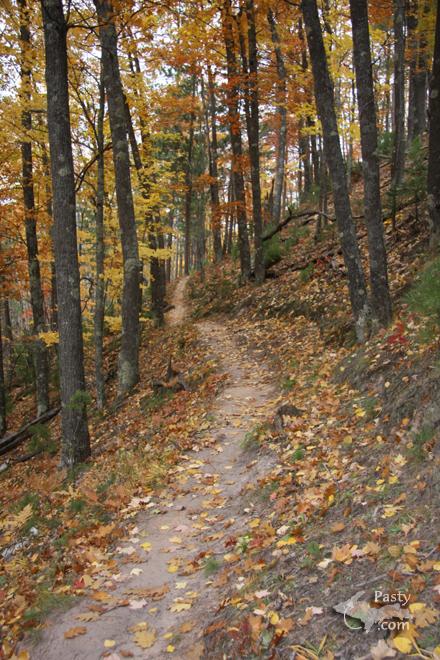 Photos by Shawn Wyant