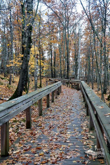 Photos by Bob Gilreath