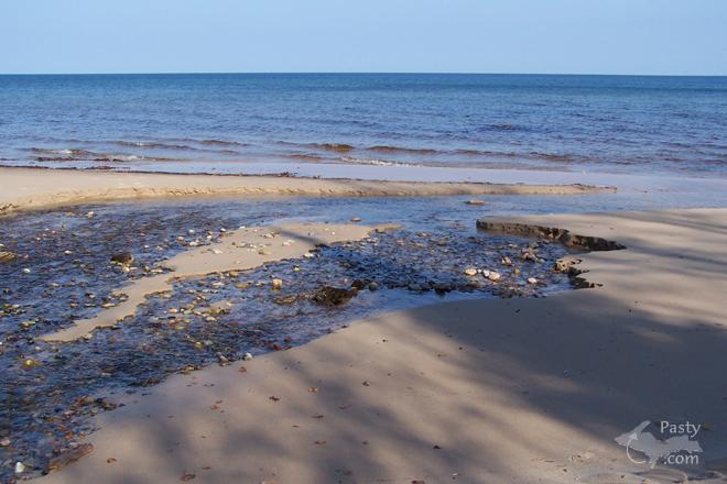 Photos by Brenda Leigh