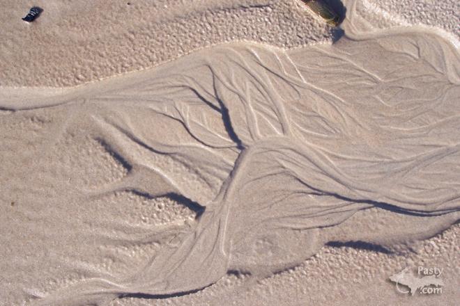 Photos by Brenda Leigh