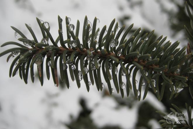 Photos by Emma Stout