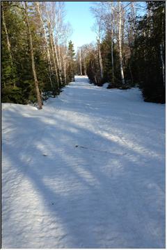 Snowcovered trails