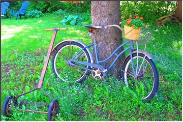 Old mower and bike