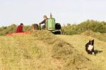 Hay making time