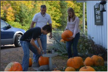 Pumpkin picking time