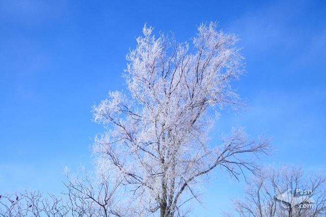 Photos by Deb Simons