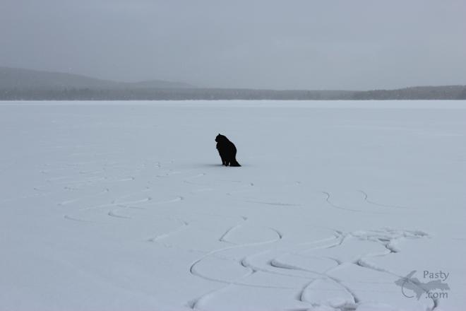 Photos by Dorothy Jamison