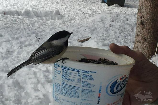 Photo by Sally Beaudette