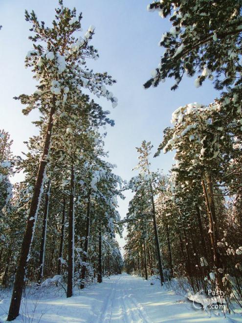 Photos by Lindsay White