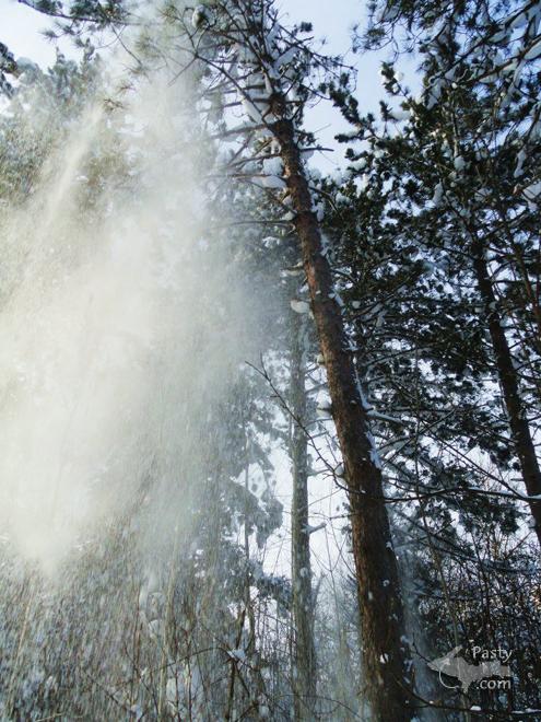 Photos by Lindsay White