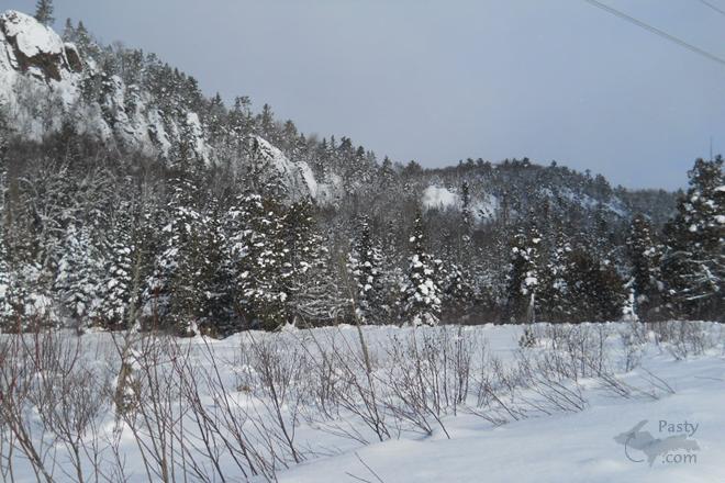 Photos by Paul and Nat Brandes