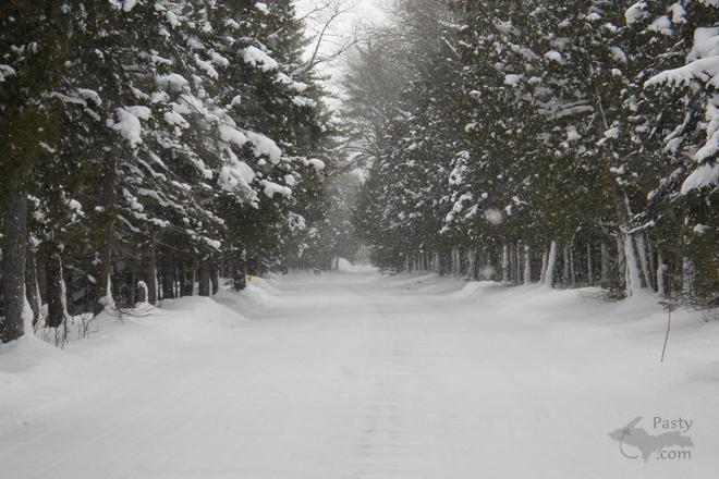 Photos by Paul and Nat Brandes