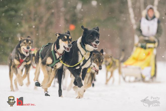 Photos by brockit, inc.