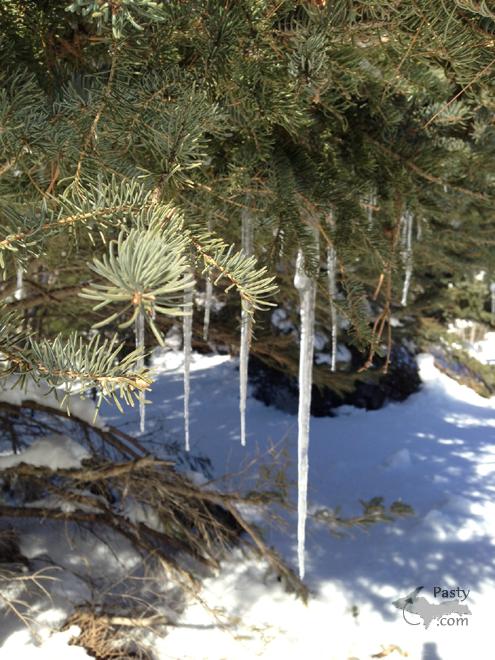 Photos by Liz Siivola