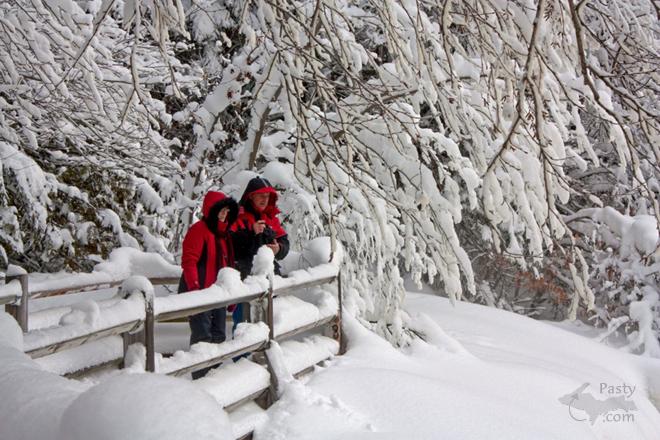 Photos by Cindy Freeman