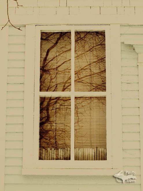 Photos by Chad Johnson