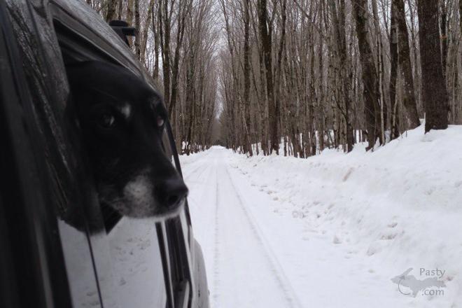 Photos by Chad Johnson